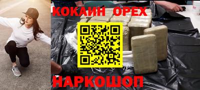 индика Сланцы
