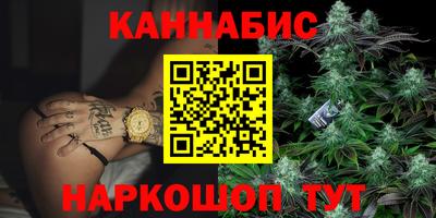 мдпв Славгород