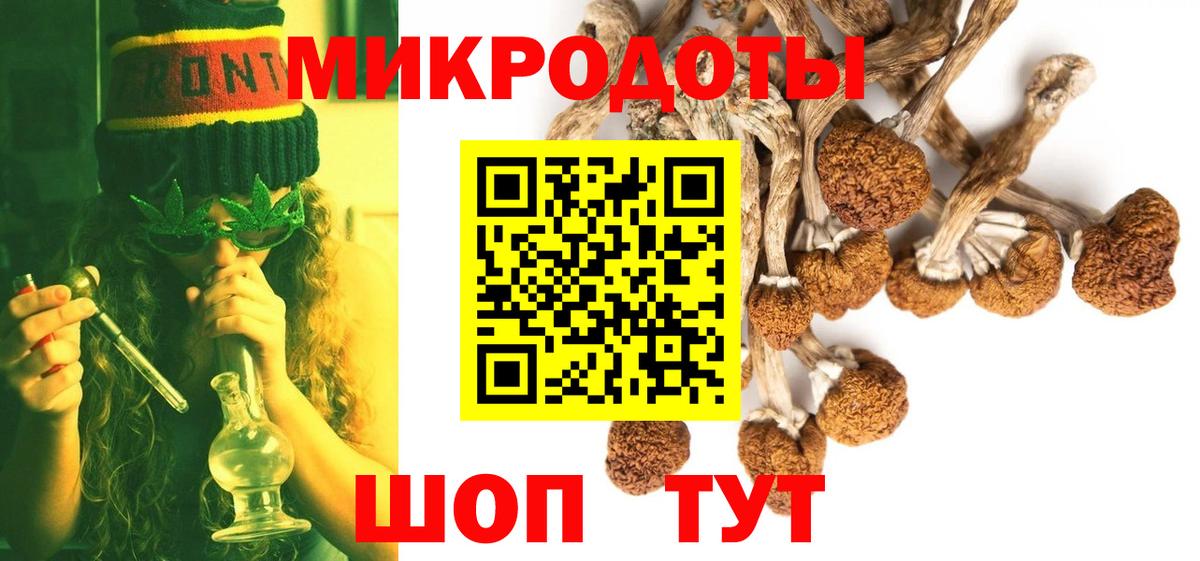 Псилоцибиновые грибы MAGIC MUSHROOMS  что такое   Псилоцибиновые грибы прущие грибы  Асино  Вход с VPN 